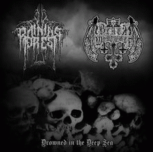 Raining Forest : Drowned in the Deep Sea